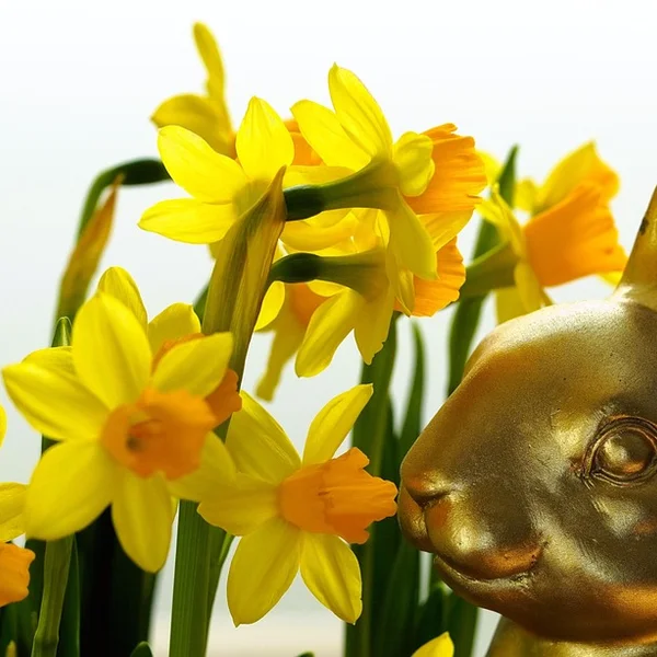 赌博网站捕鱼游戏